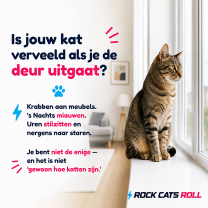 RollCat – Automatisch Speeltje